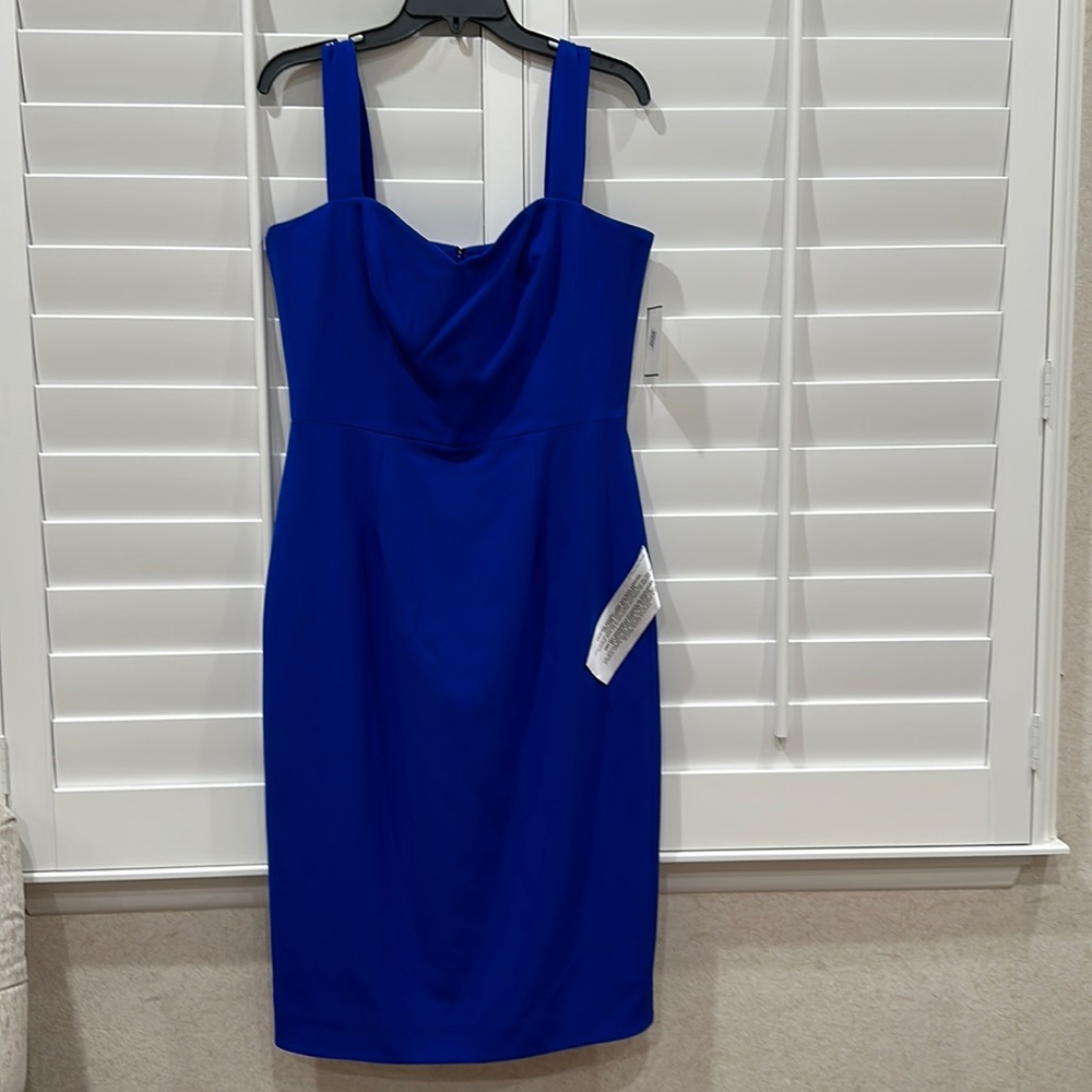 Dress The Population Royal Blue Dress.